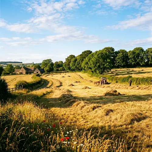 Golden Sunlit Meadow with Freshly Cut Hay | Idyllic Rural Scene
