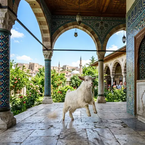 Playful Goat Enjoying Ankara Pavilion | Historic Joy