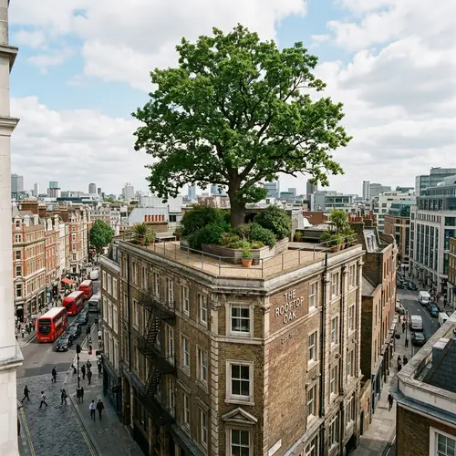 Tree on Top of a Building: Nature's Resilience