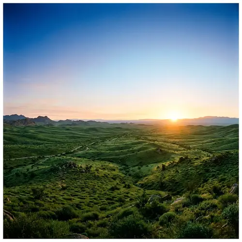 Vibrant Green Desert at Sunrise | Unique Landscape View