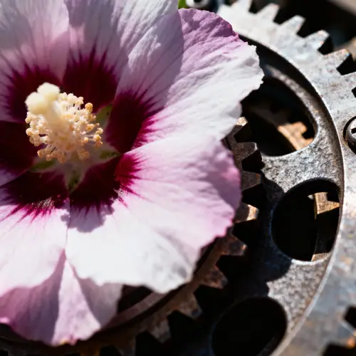 Expert Photorealistic Photography Services