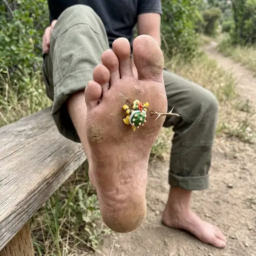 Resilient Barefooter with Bowser Koopa