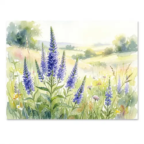 Beautiful Veronica Flower Watercolor Art