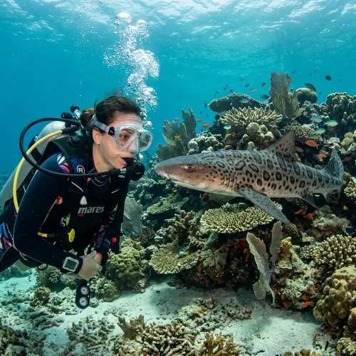 Scuba Diving with Leopard Shark - Exciting Encounter