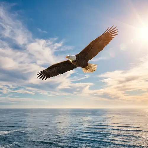 Symbol of Freedom: Majestic Eagle Soaring in Vast Sky
