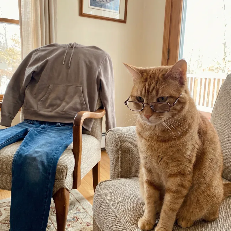 Transform into a Cat: Fun Filters & Effects