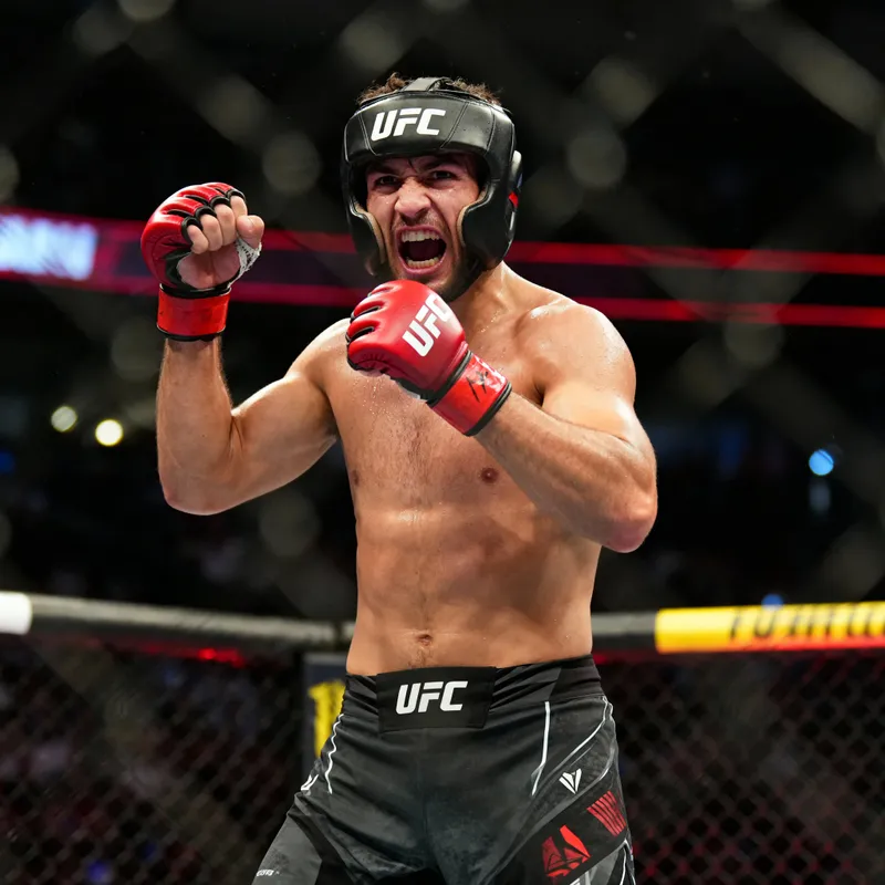 Professional UFC Fighter Photo