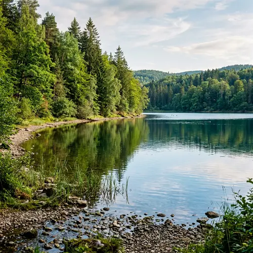 Tranquil Lake Surrounded by Lush Trees