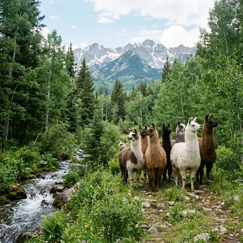 Llamas in Woodland Environment: Colorful Herd with Mountain Backdrop