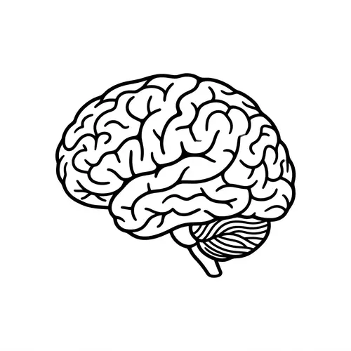 Simple Black and White Brain Visuals