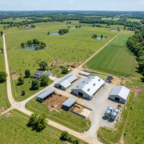 200 Acre Beef Cow-Calf Operation Overview