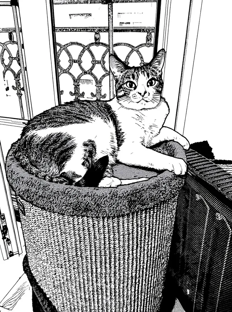 Manga Style Transformation for Art