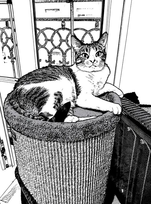 Manga Style Transformation for Art