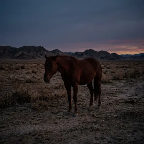 Solitary Horse in Barren Landscape