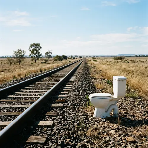 Unusual Scene: Toilet Seat Near Railway Tracks