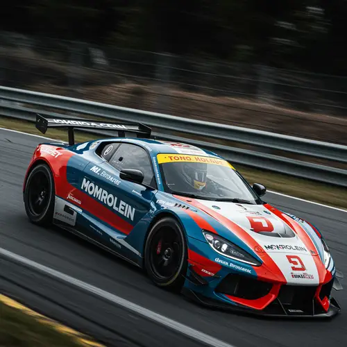 Dynamic Race Car Driver in Action | Motorsport Art