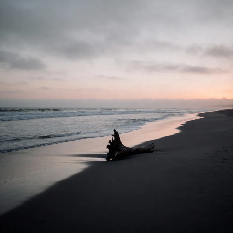 Melancholic Sea Shore at Sunset
