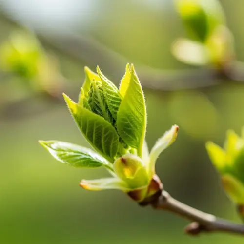 New Green: Fresh Styles for 2023