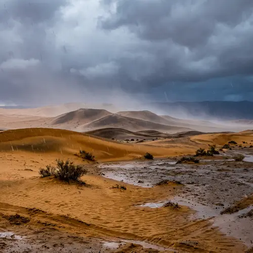 Rare Phenomenon: Desert Soaked by Pouring Rain
