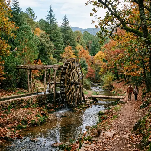 Explore the Noria: A Tranquil Natural Park Retreat
