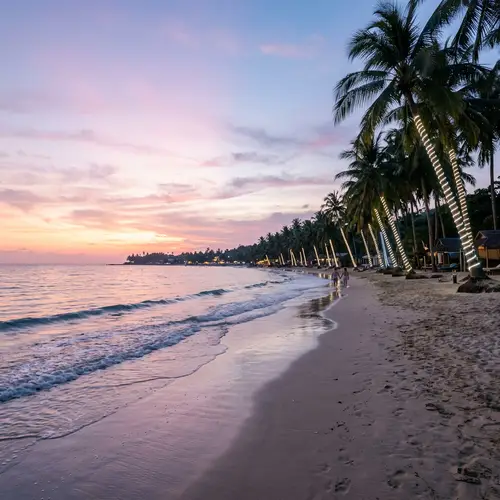 Serene Beach Scene at Dusk with Illuminated Palm Trees