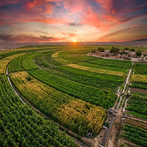 Green Landscapes of Qatar: Agricultural Splendor in Semi-Circle Shape