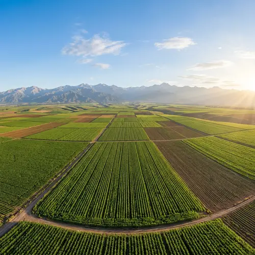 Agricultural Lands in South America - Stunning Panoramic View