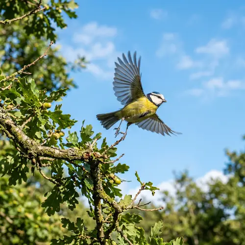 Charming Bird Taking Flight from Tree Branch