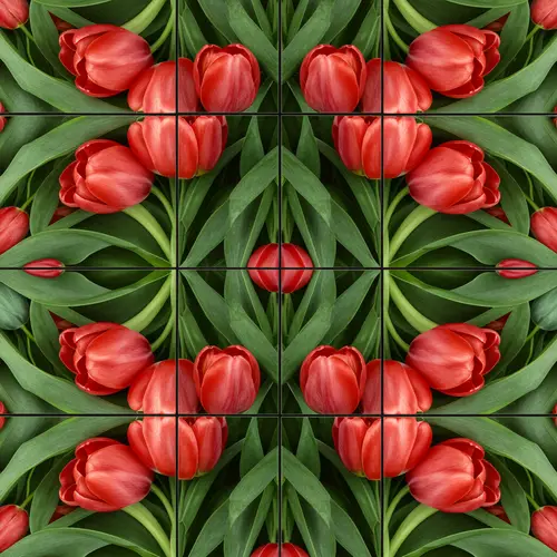 Square Tessellation of Tulips with Leaves