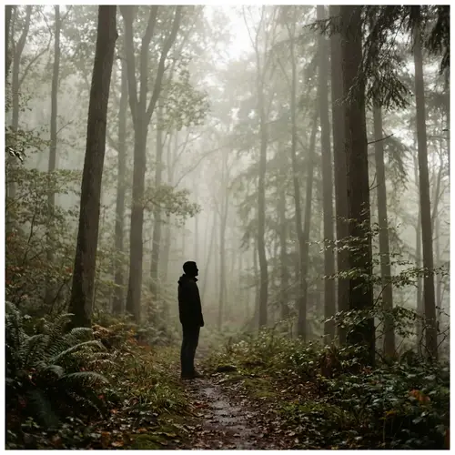 Enigmatic Silhouette in Foggy Woodland - Tranquil Ethereal Scene