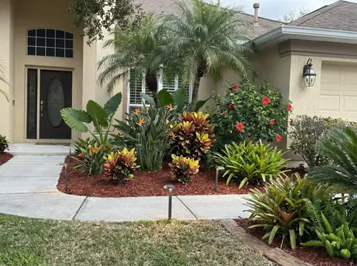 Tropical Landscaping Ideas for Your Home