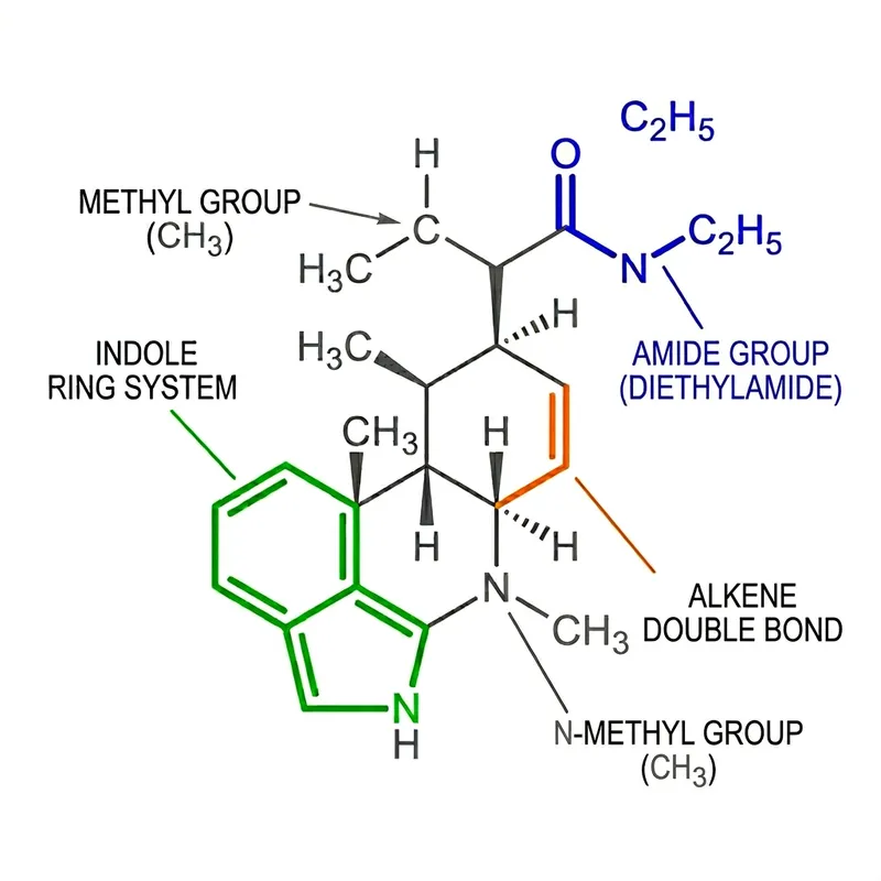 LSD Molecular Structure: Functional Group Highlight LSD Molecular Structure: Functional Group Highlight