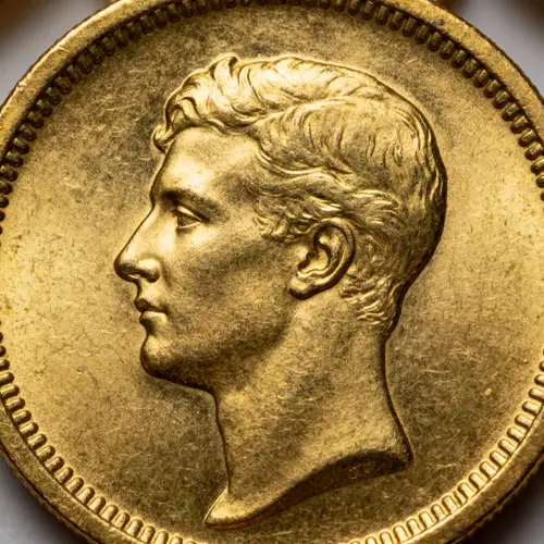 Turn Portrait into a Gold Coin - Unique Art