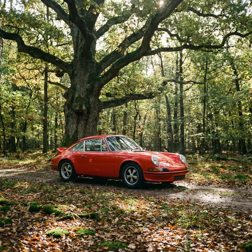 Porsche 911 Under a Realistic Tree
