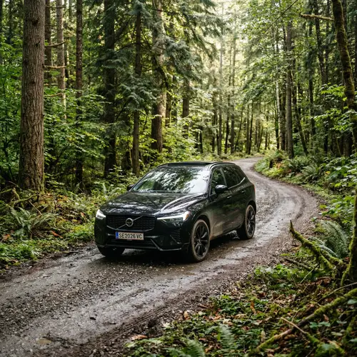 2026 Volvo XC60: Black Beauty in the Forest