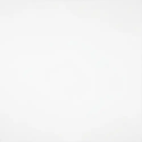 Pure White Canvas of Unlimited Imaginative Possibilities