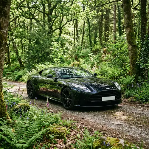Luxurious Black Car in Vibrant Forest - Nature's Beauty