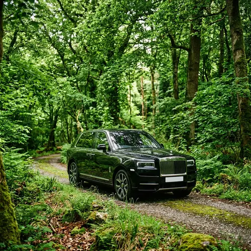 Luxurious Rolls Royce Cullinan in Tranquil Forest | Human Design Prowess