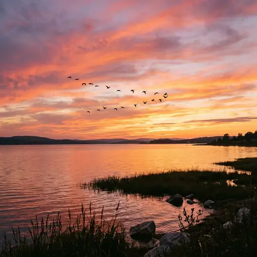 Stunning Sunset Scenery with Birds and Water