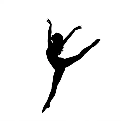 Extracting Silhouette from Your Photo