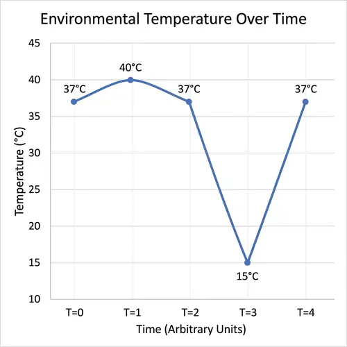 Environmental Temperature Changes Over Time: Line Graph Analysis