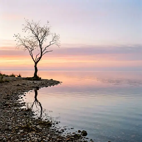 Minimalist Nature Beauty: A Tranquil Lake Scene