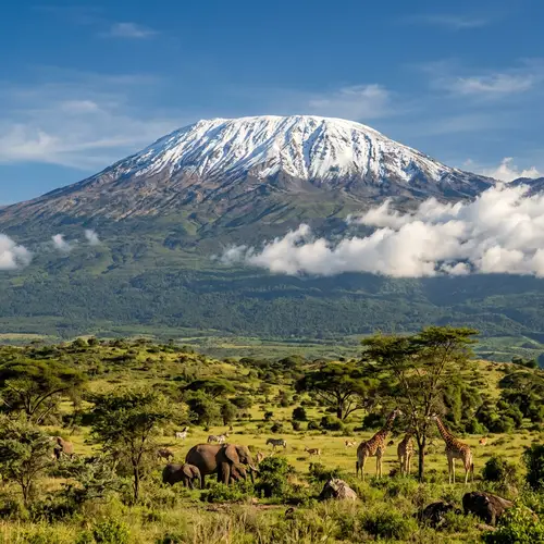 Mount Kilimanjaro in Tanzania - Majestic Summit & Serene Landscape
