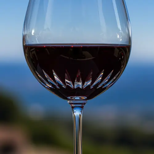 Elegant Wine Glasses for Every Occasion