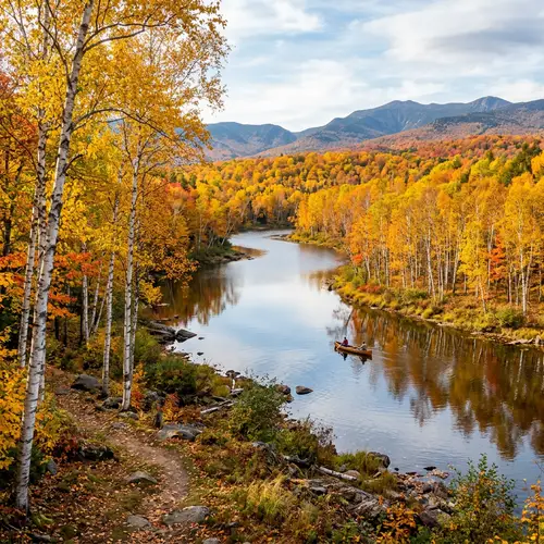 Birch Trees in Autumn Forest | Lake Scenery