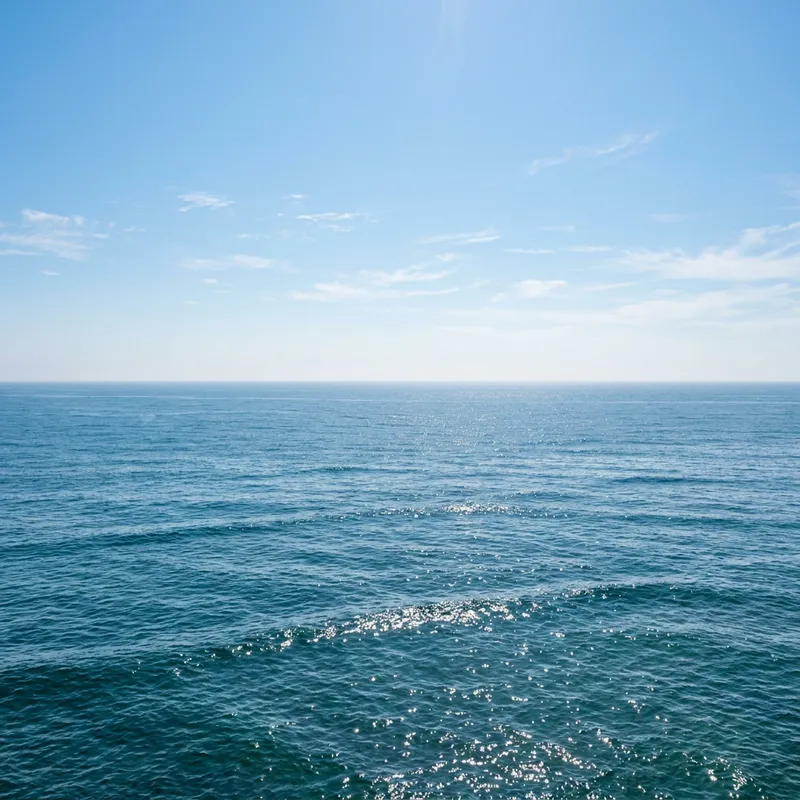 Serene Ocean Waves: A Tranquil Escape