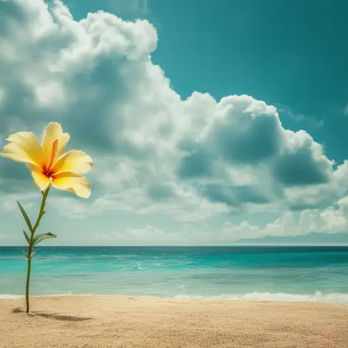 Life Club: Embrace the Beauty of Life Every Day