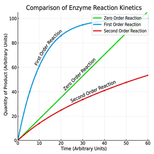 Enzyme Reaction Kinetics Graph: Zero, First, Second Order Reactions