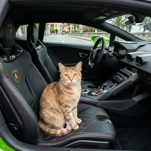 Sophisticated Feline in Lamborghini | Stylish Cat Wearing Earrings