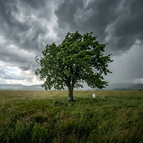 Resilient Green Tree in Stormy Weather